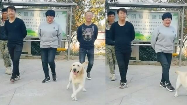 Video de TikTok