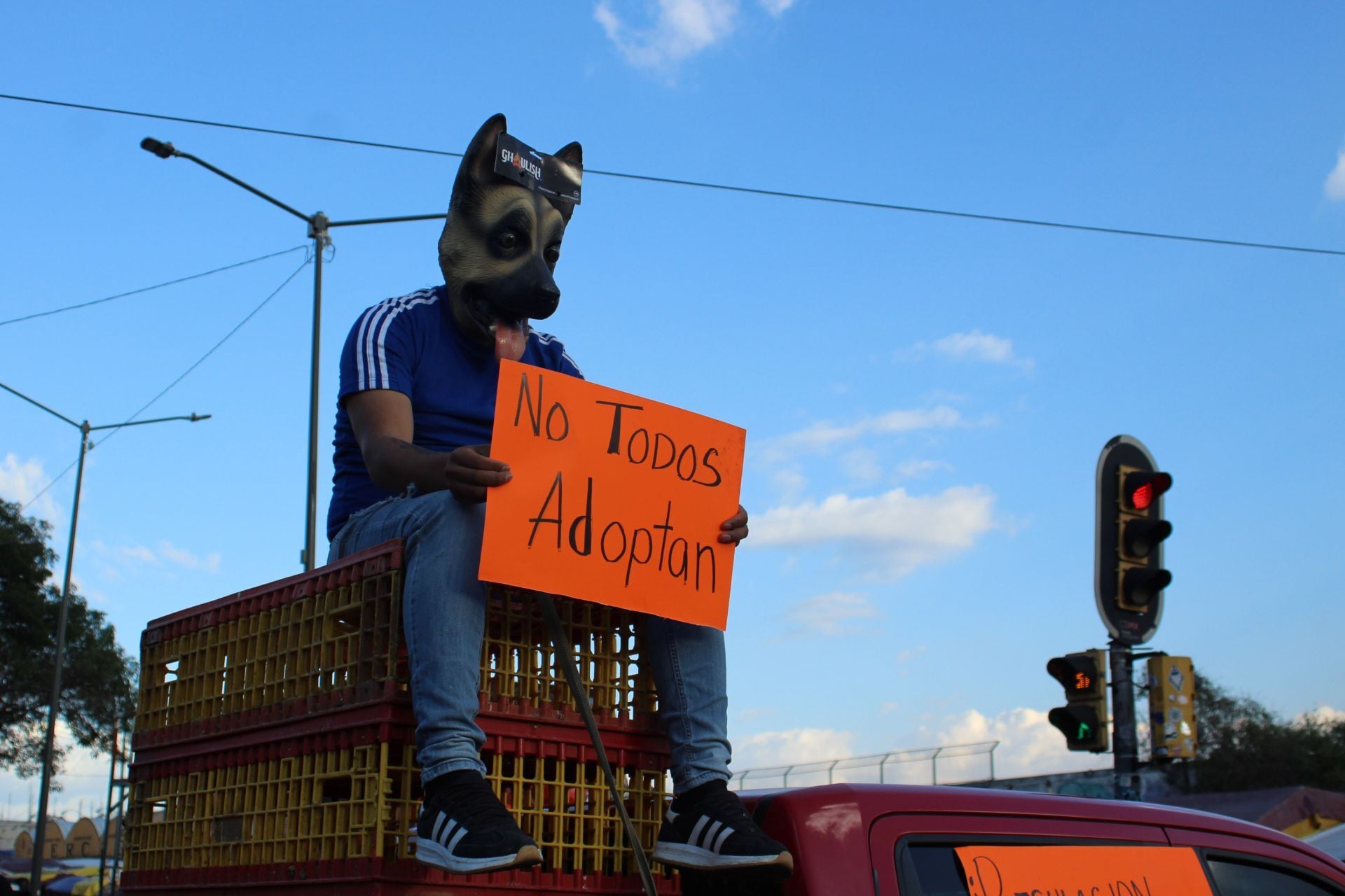 Mercado Sonora y la venta de animales