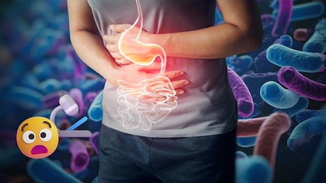 Descubren vínculo entre bacterias intestinales y esclerosis múltiple