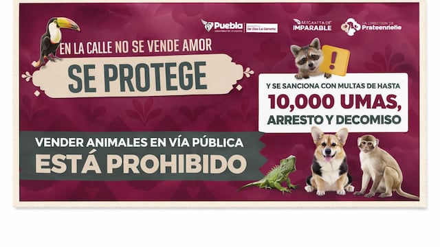 Pepe Chedraui refuerza acciones contra venta de animales en vía pública en Puebla