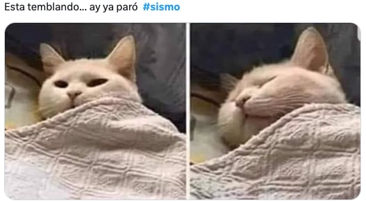 Los mejores memes de desvelados por el sismo en Tonalá, Chiapas