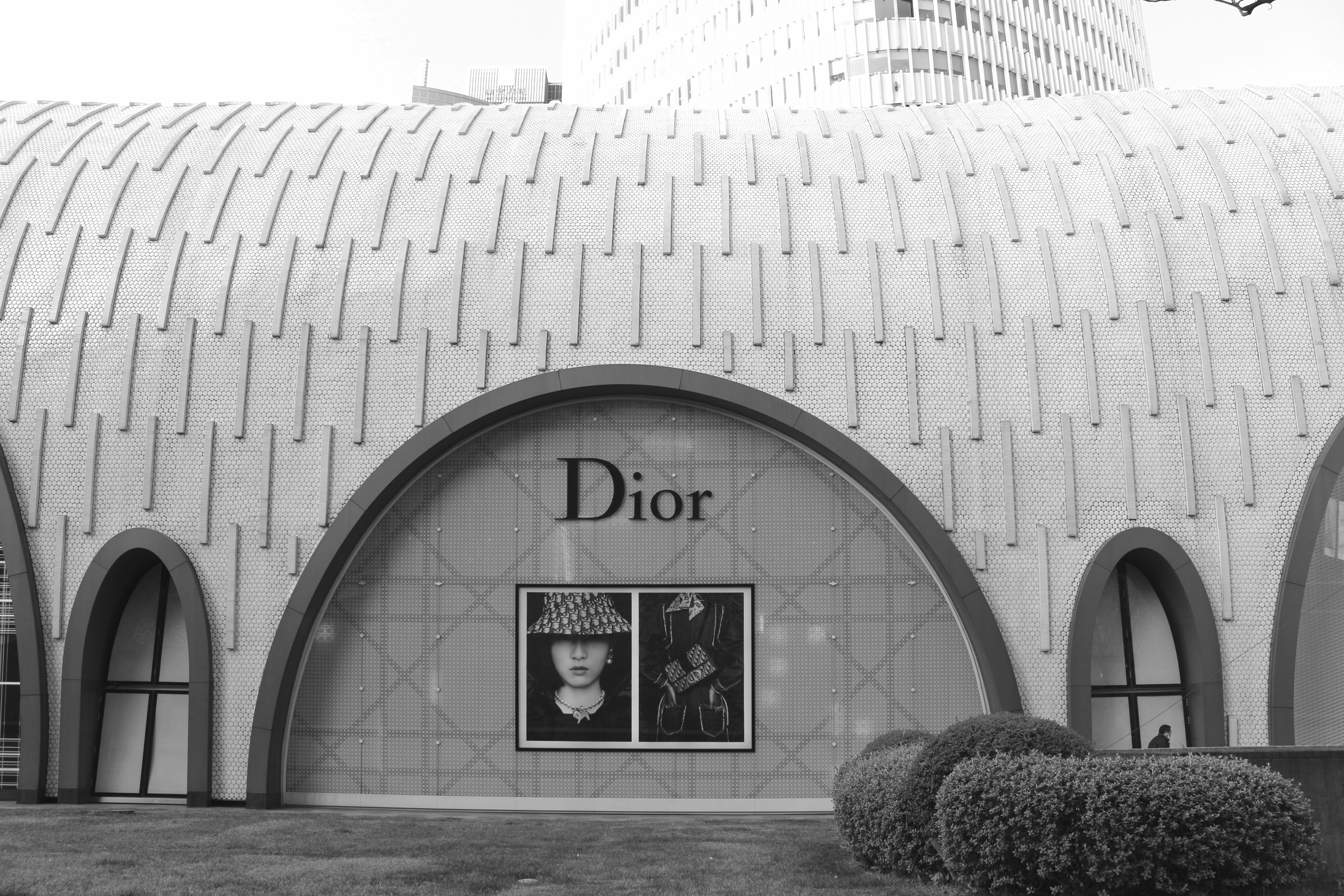 ¿Cuánto cuesta un bolso Dior?