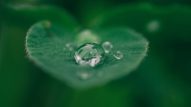 Este 22 de marzo es el Día Mundial del Agua