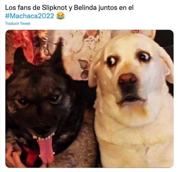 Meme del Machaca Fest 2022