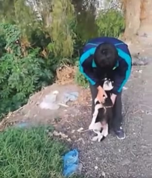 Amarra y lanza a perro en río de Chiconcuac