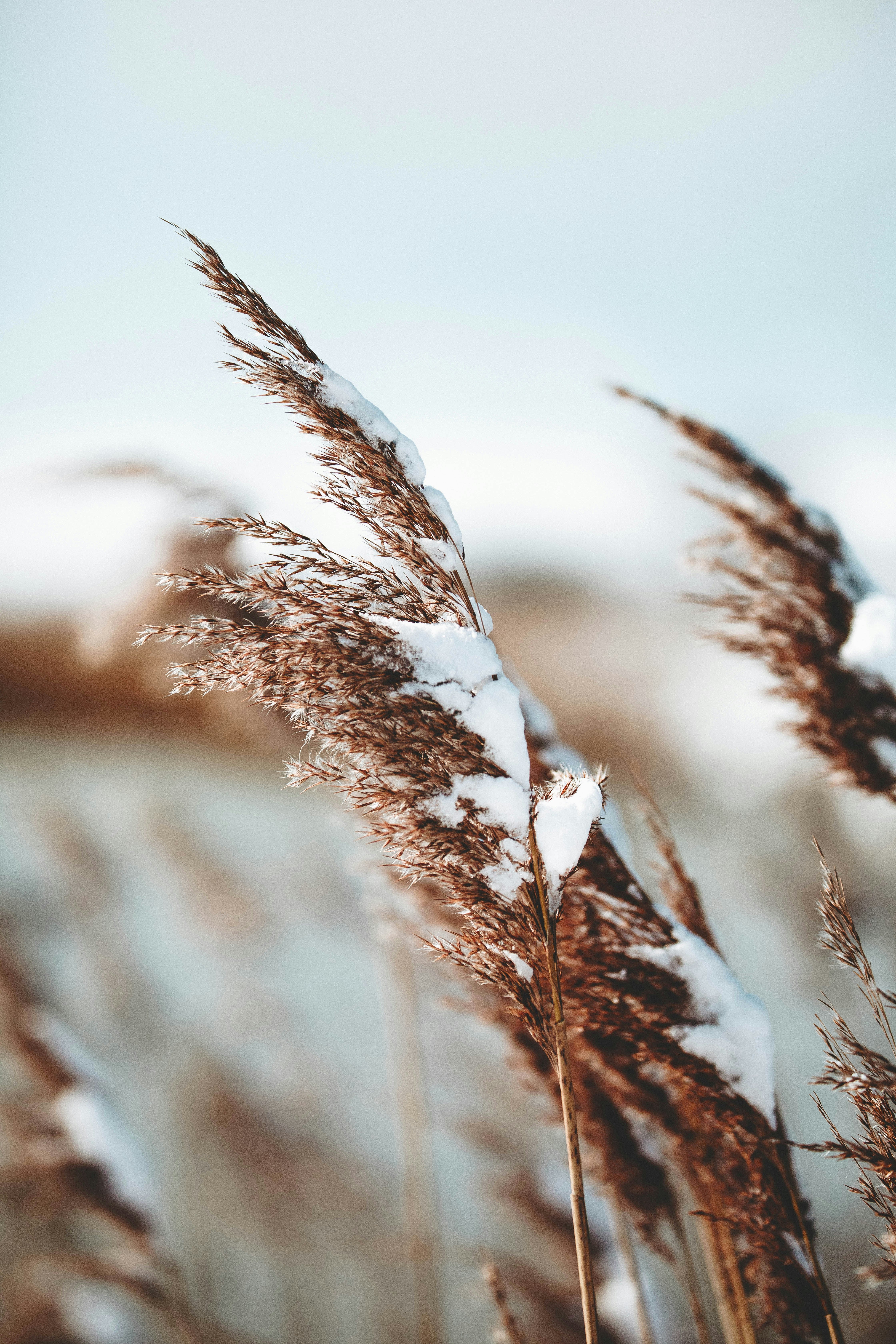 Invierno