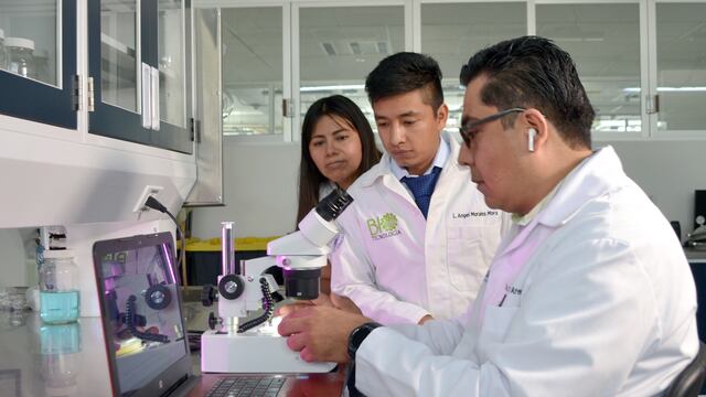 La BUAP es la sexta mejor universidad de México en 2024