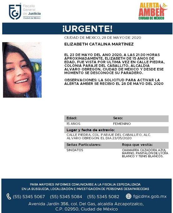 Ficha de búsqueda.