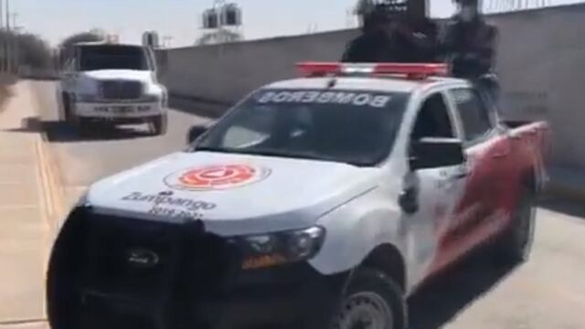 Búsqueda de leones en Zumpango