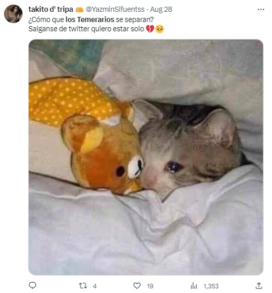 Memes por el adiós de Los Temerarios