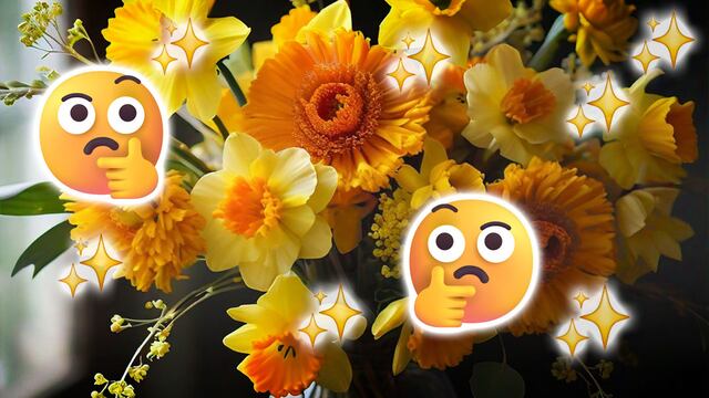 El 21 de septiembre se regalan flores amarillas