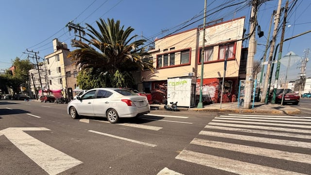 Alcaldía Cuauhtémoc iniciará el 28 de febrero el balizamiento de la ciclovía en calle Cedro, Santa María la Ribera
