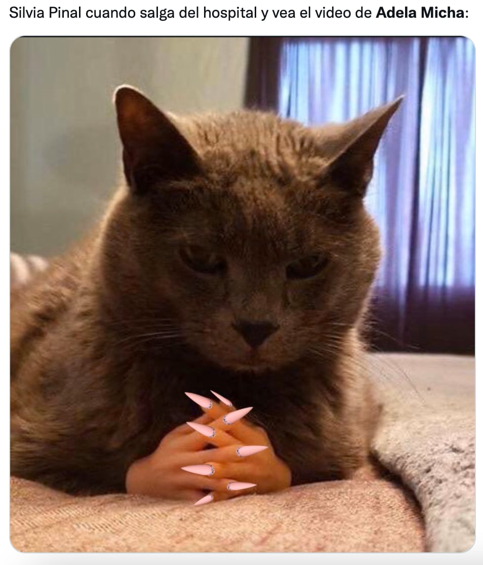 Memes de Adela Micha sobre comentario de Silvia Pinal