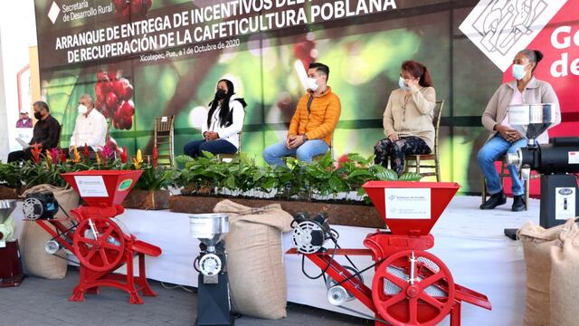 Recuperación de la Cafeticultura.