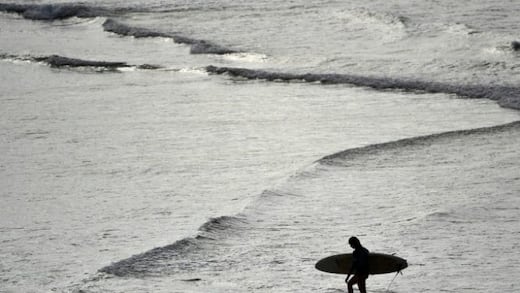 ¿Qué son? Bolas negras aparecieron en una playa de Sídney, Australia