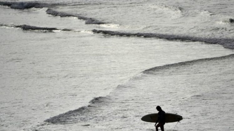 ¿Qué son? Bolas negras aparecieron en una playa de Sídney, Australia
