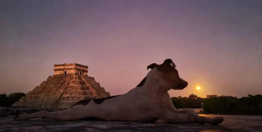 Perritos guardianes de Chichén Itzá