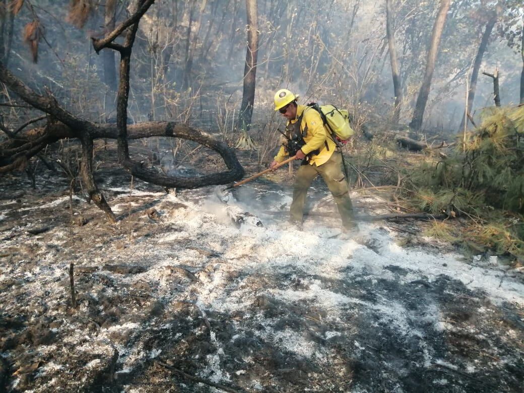 Incendios forestales, Bosque La Primavera.