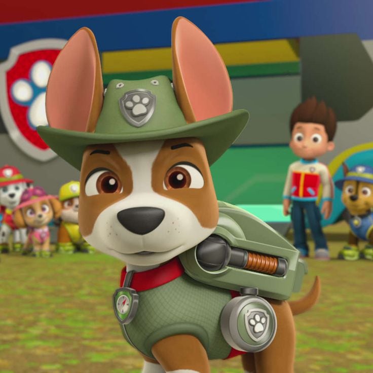 Estos son los fondos de pantalla de Tracker de Paw Patrol para smartphone