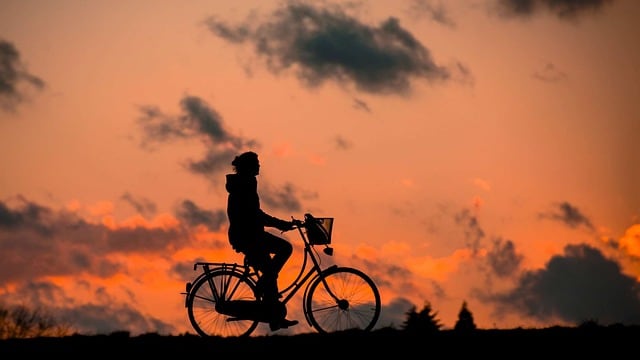 Día Mundial de la Bicicleta: Hoy se celebra al mejor medio de transporte