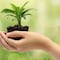 ¡Feliz Día Mundial del Medio Ambiente! 12 frases famosas de activistas para celebrar hoy 5 de junio