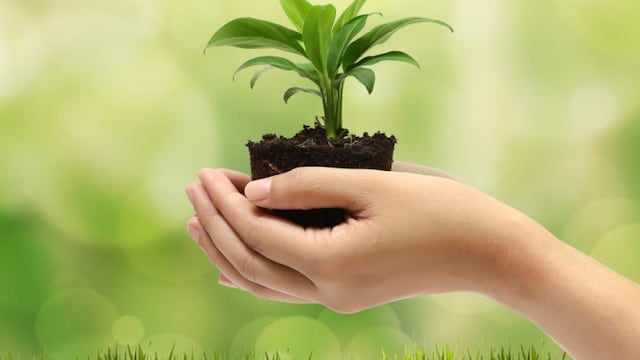 Frases por Día Mundial del Medio Ambiente