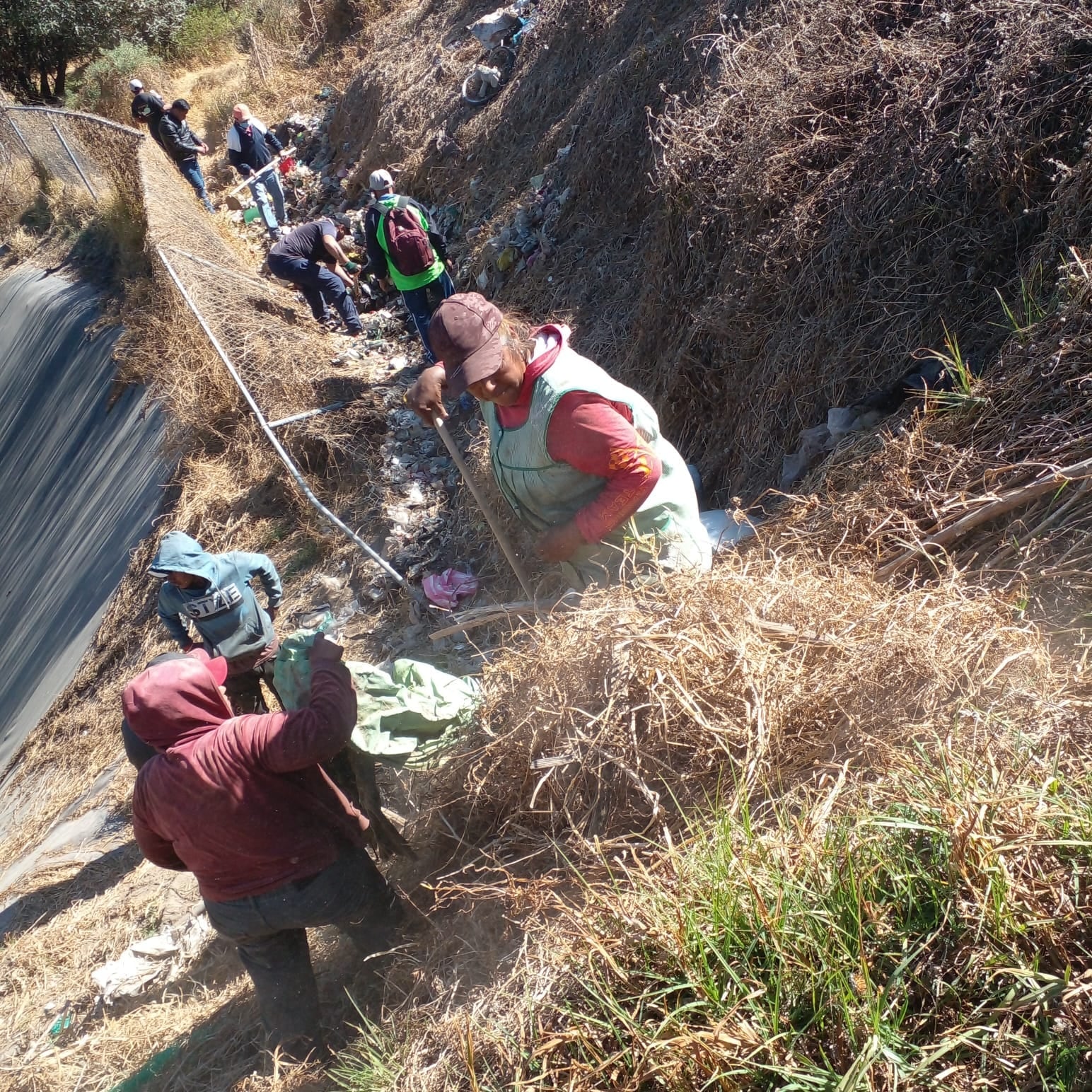 Perros hallados muertos en Amecameca