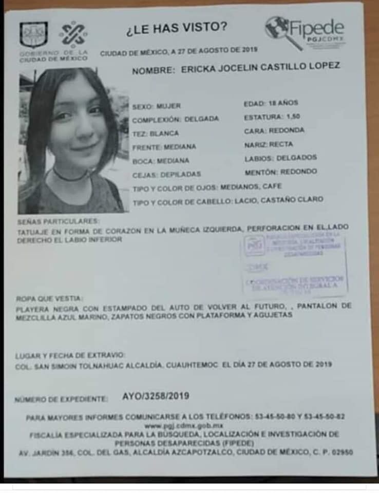 Ficha de búsqueda de Ericka Castillo.
