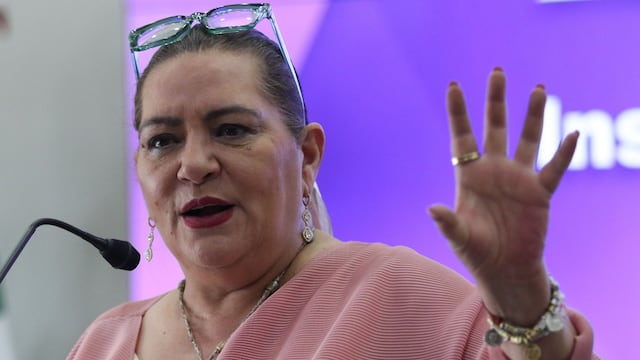 Guadalupe Taddei alerta riesgos de reforma sobre candidaturas