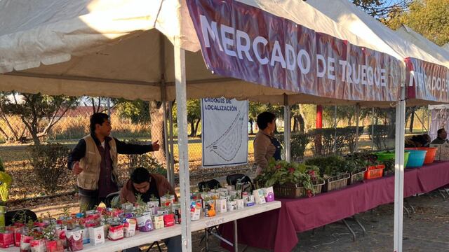 Mercado de Trueque CDMX 2025