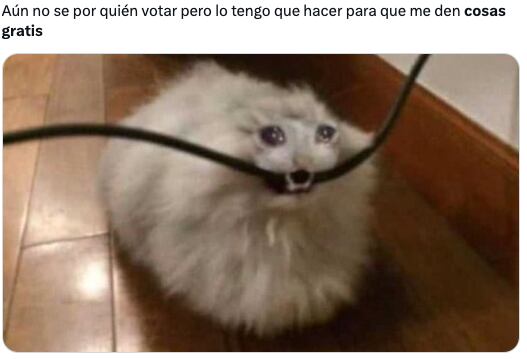 Los memes ya planean la ruta de cosas gratis por votar en estas elecciones del 2 de junio