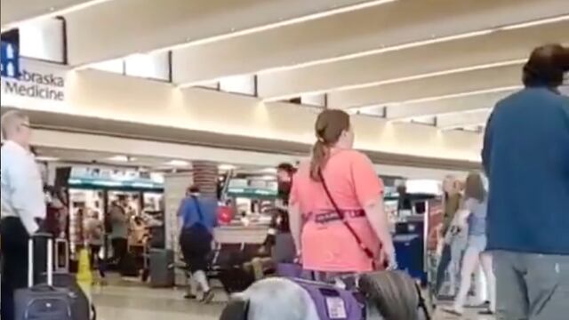 Caballo miniatura avión