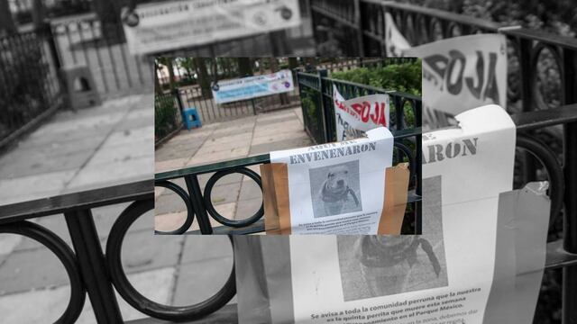 "PETA le pide a todas las personas que puedan tener información que llamen a las autoridades inmediatamente, antes de que alguien más sea herido".