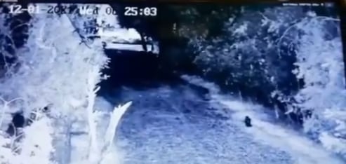 ¿Era un duende? Una extraña y criatura fue captada en una finca de Monterrey