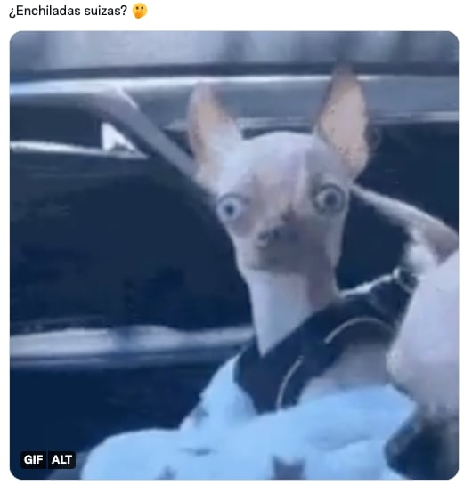 Alan Estrada hace tendencia las Enchiladas y los usuarios responden