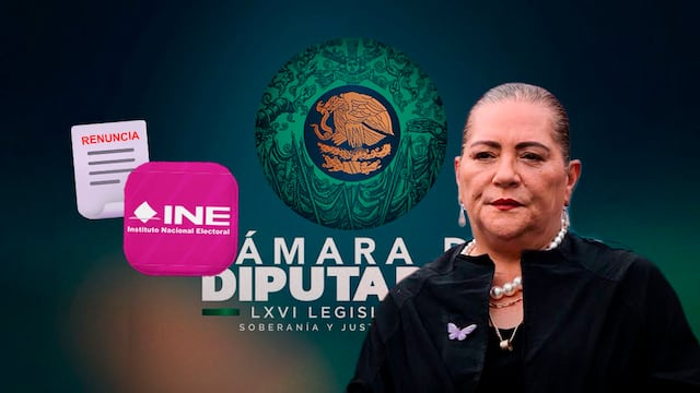 Guadalupe Taddei entrega su renuncia al INE ante la Cámara de Diputados