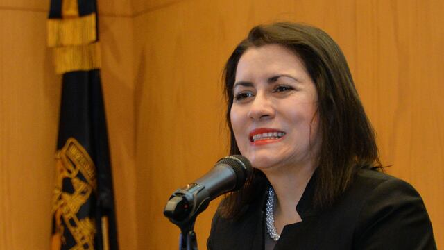 Rosa María Ramírez, directora el Instituto de Ingeniería de la UNAM