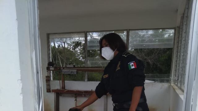 Ana María rescata a 'Goliat'