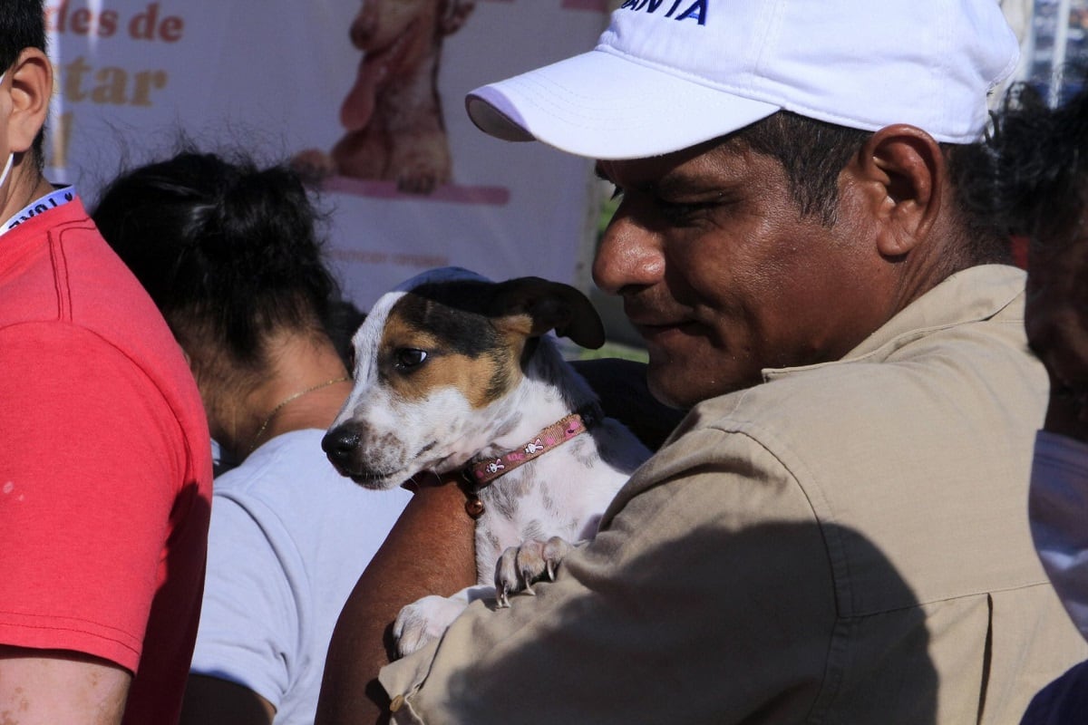 Acta de nacimiento para perros y gatos en Mérida, Yucatán