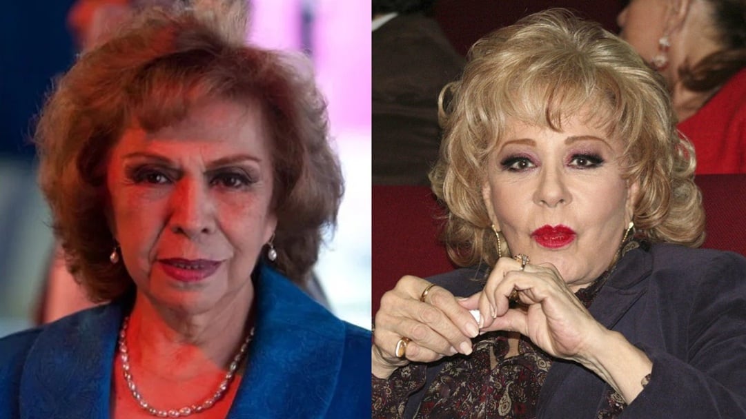 Ismael Larumbe, hijo de Amparo Garrido, revela que problema con Silvia Pinal mermó su salud