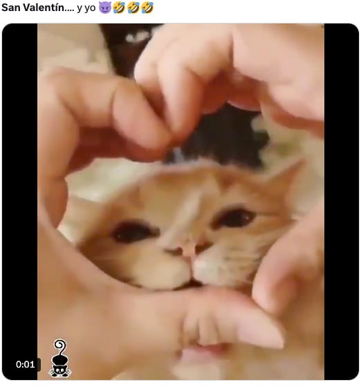 Los memes del Día de San Valentín