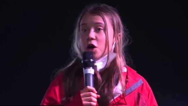 Greta Thunberg, activista sueca