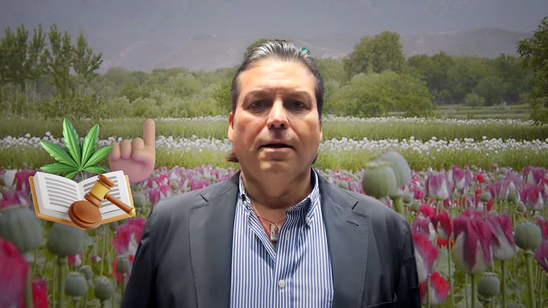 Mario Zamora propone regular amapola y marihuana para combatir el narcotráfico