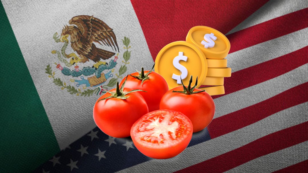Precio del jitomate cambió en México por aranceles de Estados Unido