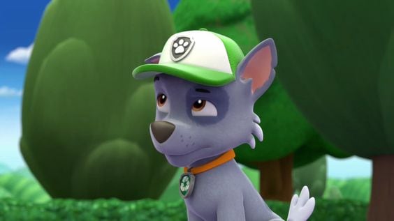 Rocky de Paw Patrol