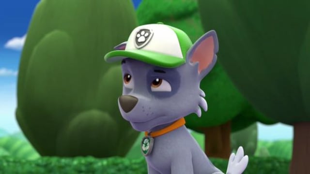 Rocky de Paw Patrol