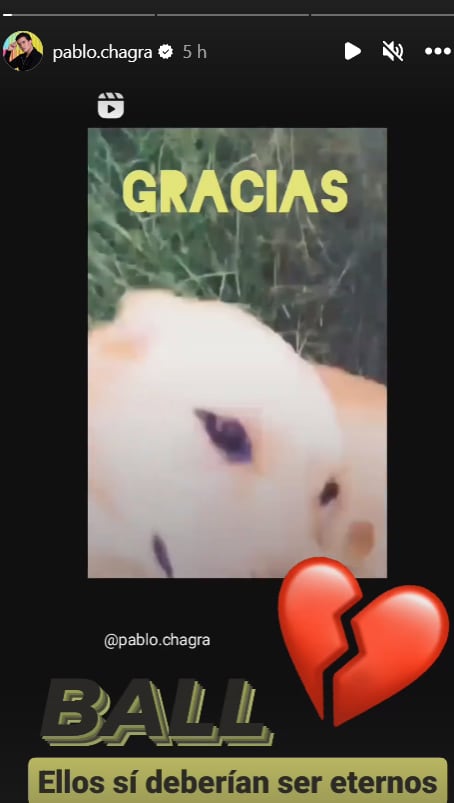 Pablo Chagra se despide de Ball, su querido perro