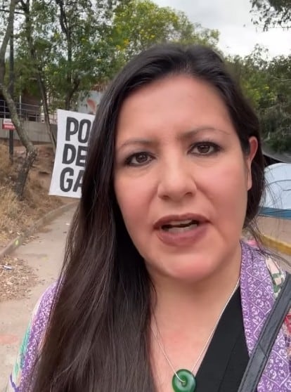 Erika Guevara-Rosas, coordinadora global de Amnistía Internacional