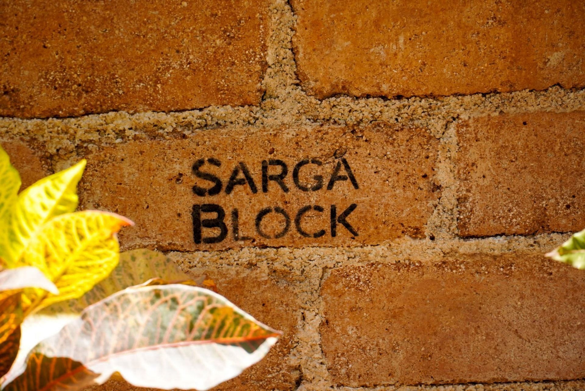 Sarga Block transforma el sargazo recolectado en tabiques de construcción, un material elaborado mediante un proceso de bajo impacto ambiental