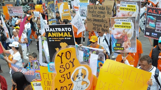 ¿Qué es la Ley Oli? La iniciativa contra el maltrato animal surgida en Cadereyta, Querétaro